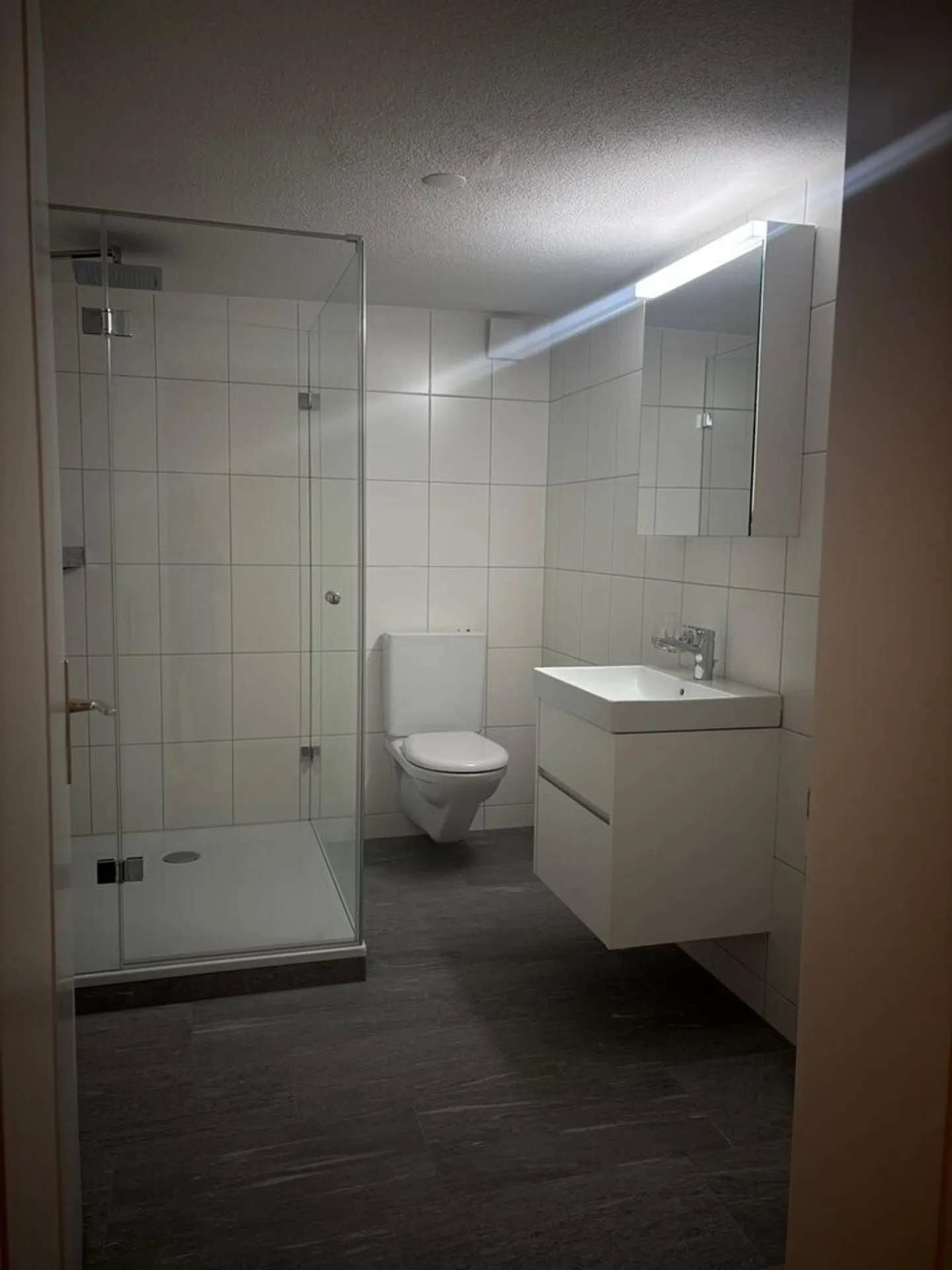 Appartamento accogliente con 1 camera da letto in affitto a Chur! - Foto 8 di 8