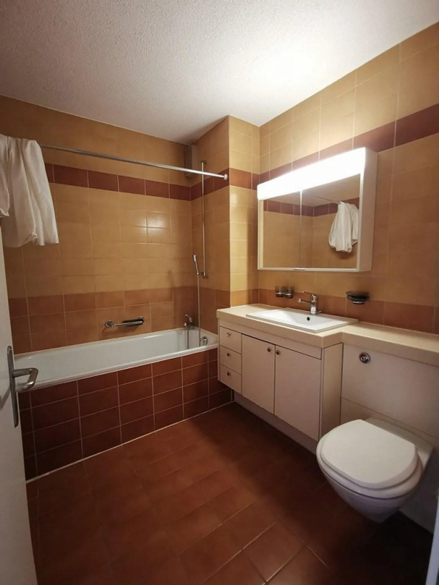 Herrliche Aussicht in Höngg / Befristet bis 30.09.2026 - Foto 4 von 5