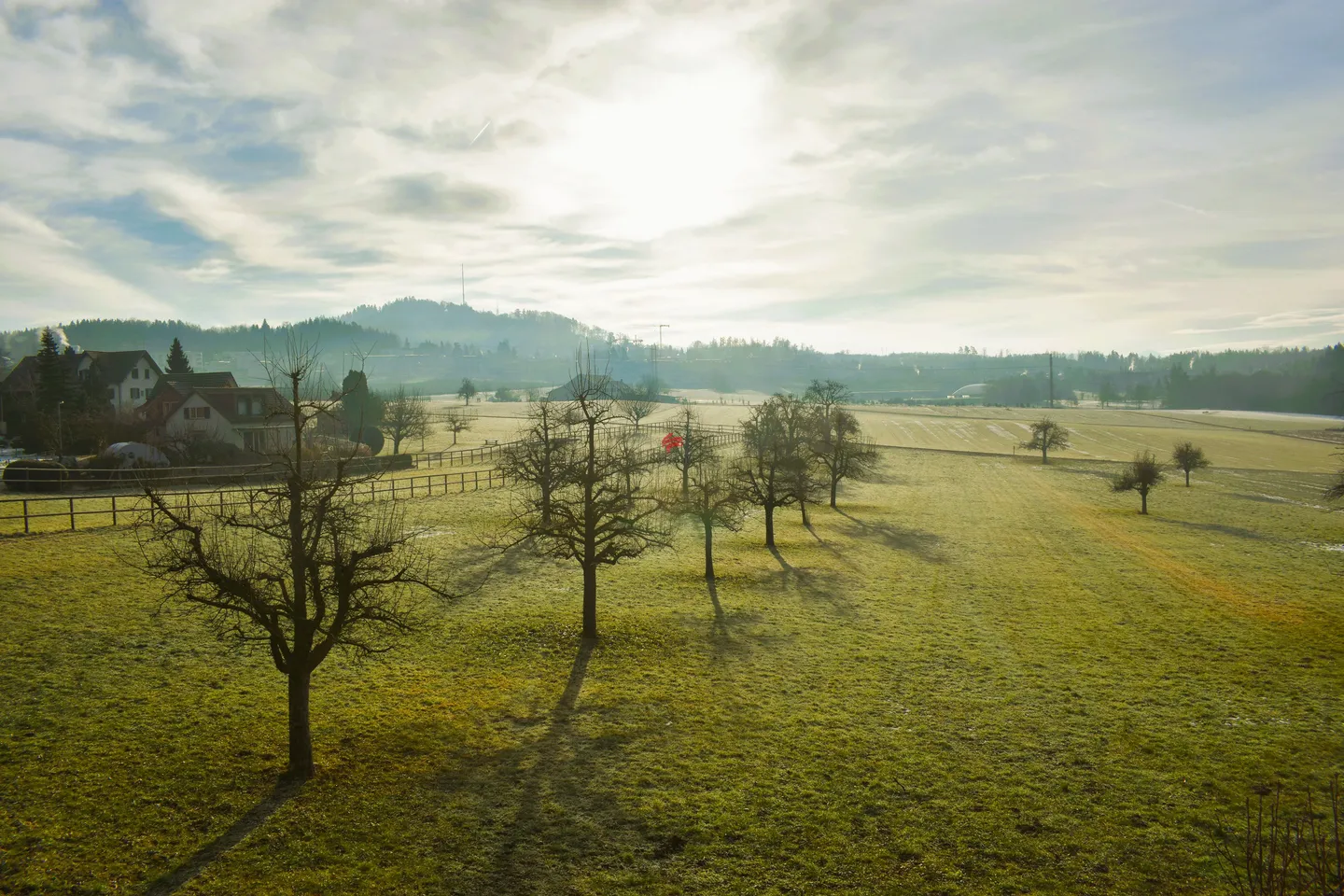 Casa dolce casa - Foto 2 di 12