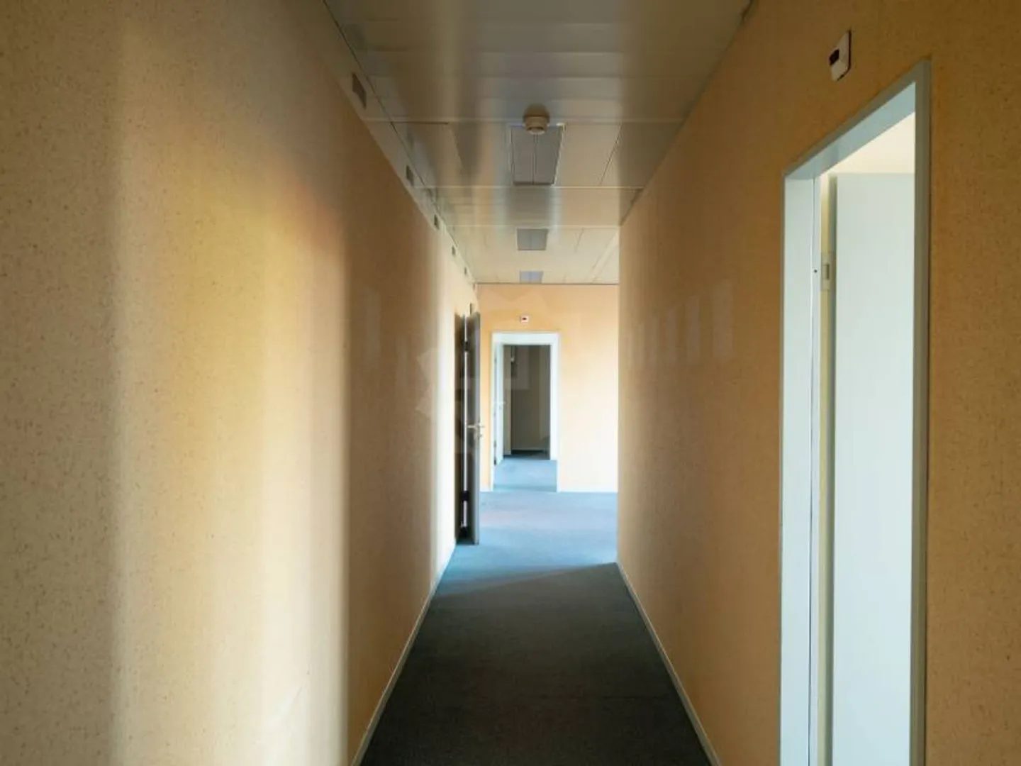 Büros mit Sonnenschein - Vernier - Foto 6 von 6