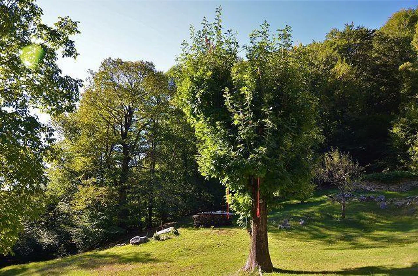 Two Rustics with Large Surroundings / 2 Rustics Immersed in Green with Large Garden - Photo 37 of 40