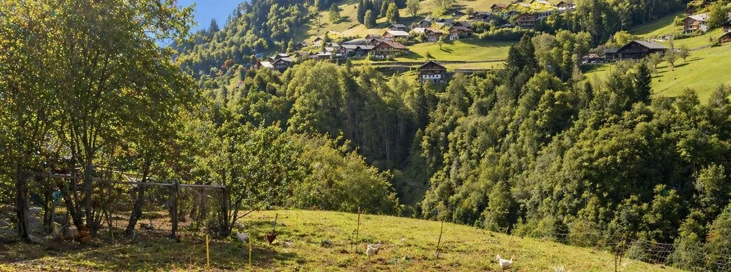 For Sale? Chalet for Renovation with Great Development Potential in Troistorrents | CHF 390,000. - Photo 4 of 9