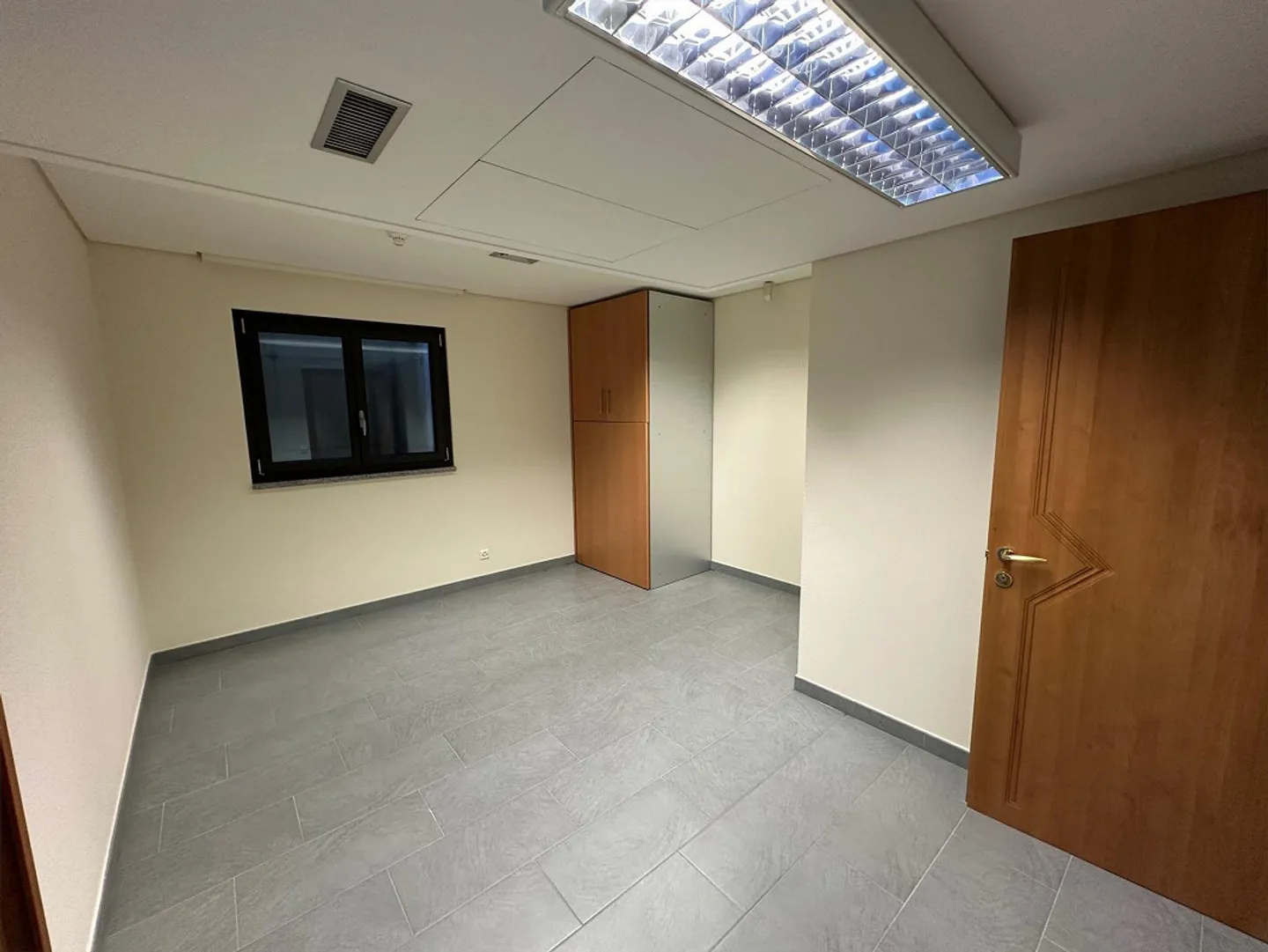 Stabile Residenziale - Commerciale - Ponte Capriasca - Foto 15 di 29