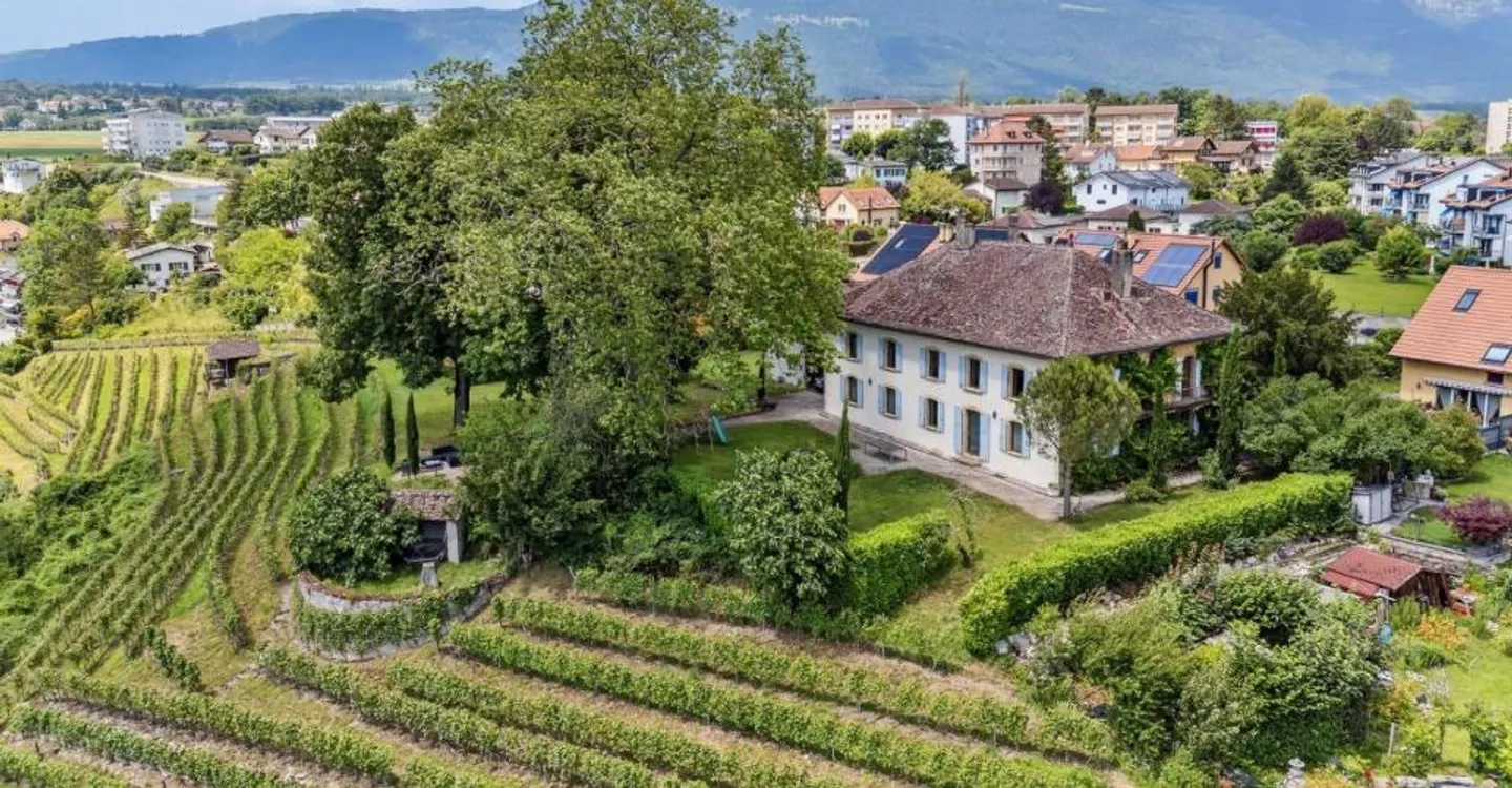 Stupenda proprietà storica su un'azienda vinicola! - Foto 2 di 13