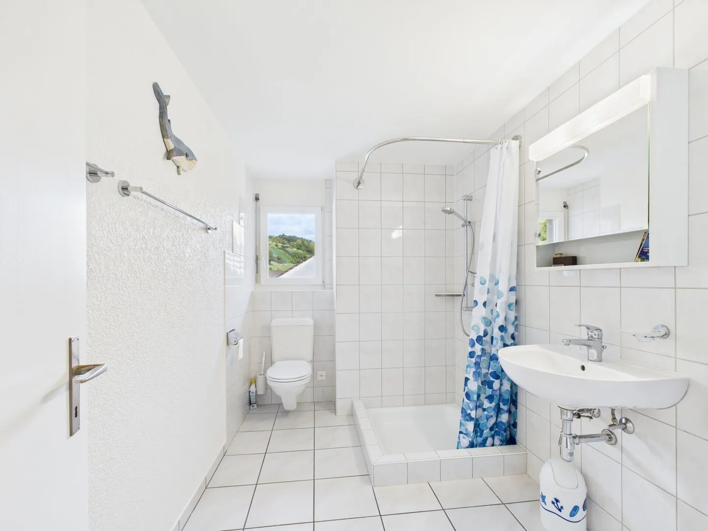 Bright Apartment in Ziefen - Balcony and Garden Included - Photo 9 of 13