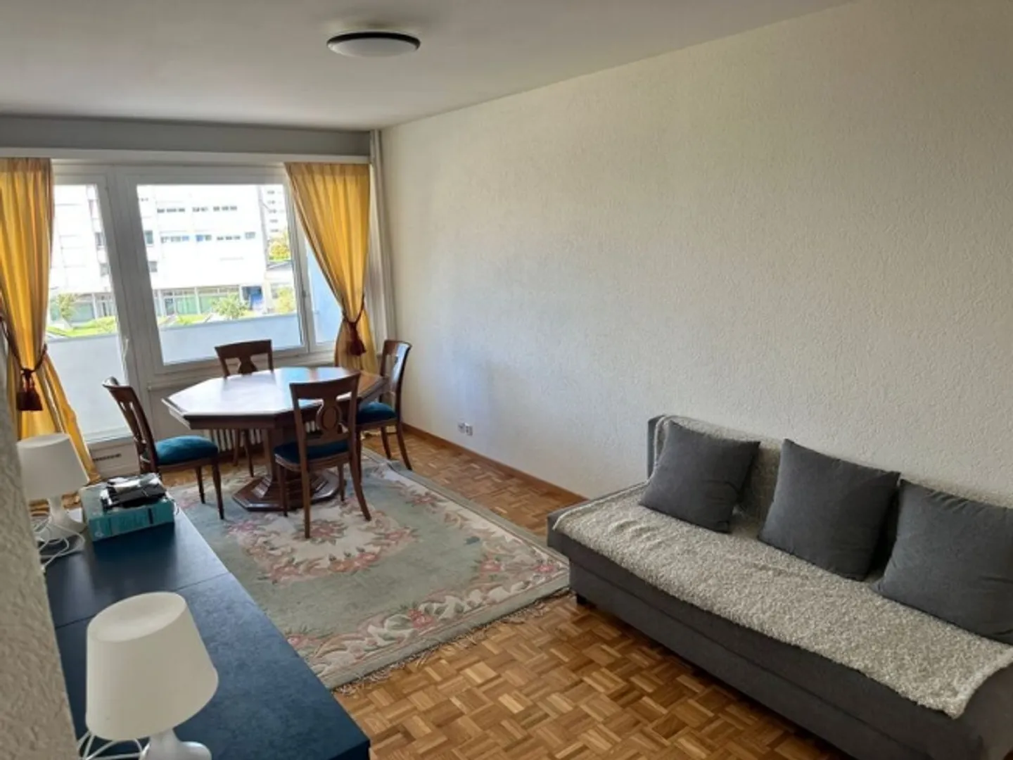 APPARTEMENT 3 CHAMBRES À GRAND-LANCY (GE), MEUBLÉ - Photo 1 sur 8