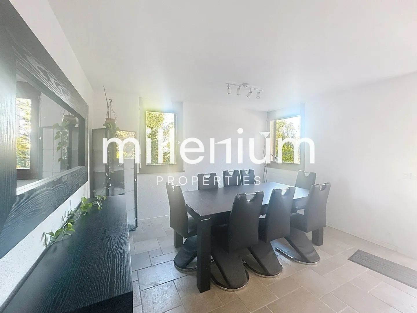 Grande maison meublé avec piscine à Versoix - Photo 4 sur 13