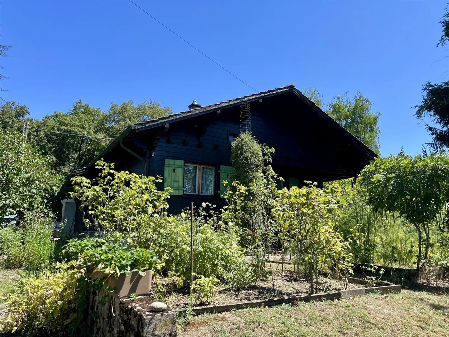 Exklusiv: Einfamilienhaus mit Garten von über 3000 m2 - Foto 11 von 13