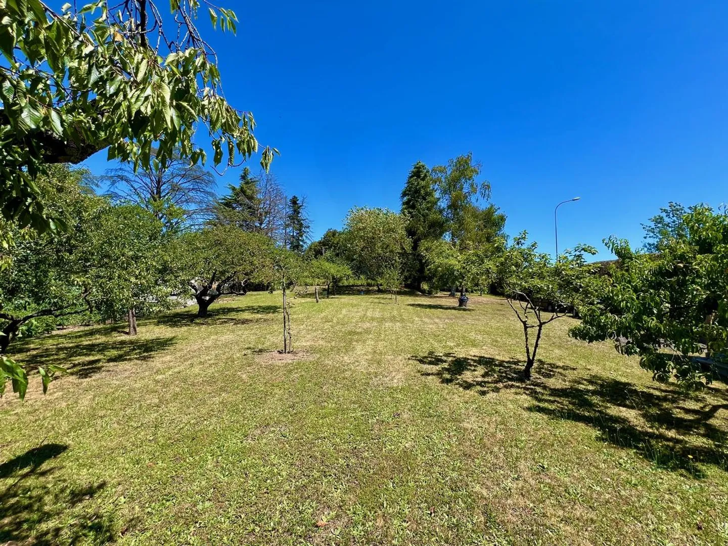 Exklusiv: Einfamilienhaus mit Garten von über 3000 m2 - Foto 12 von 13