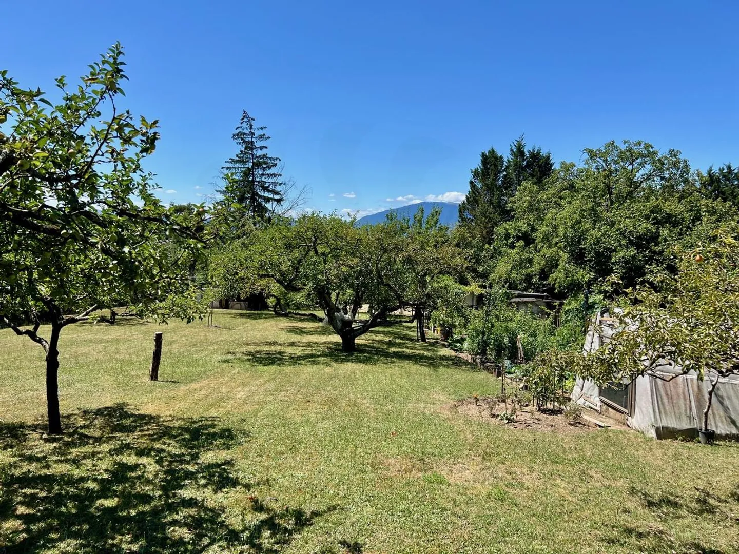 Exklusiv: Einfamilienhaus mit Garten von über 3000 m2 - Foto 13 von 13