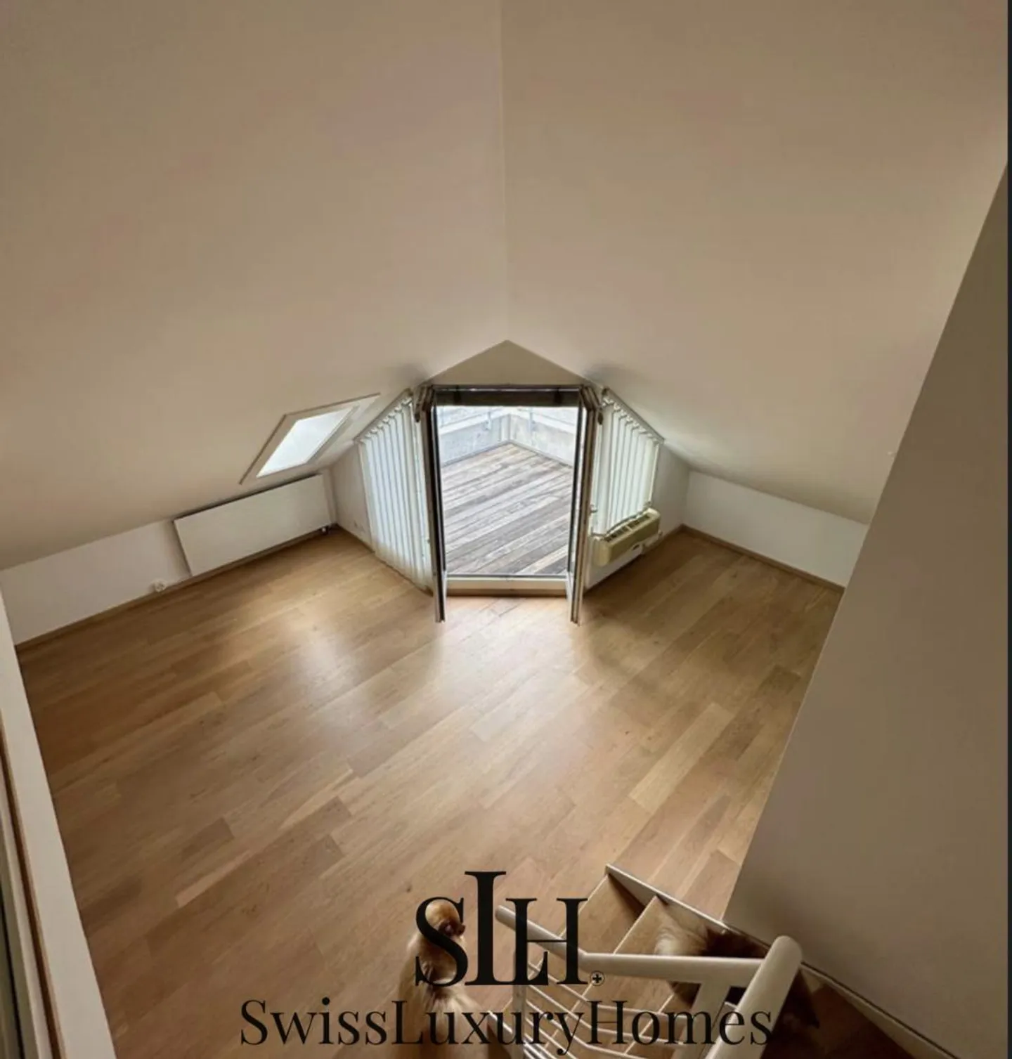 3.5 Room Apartment - Photo 13 of 13