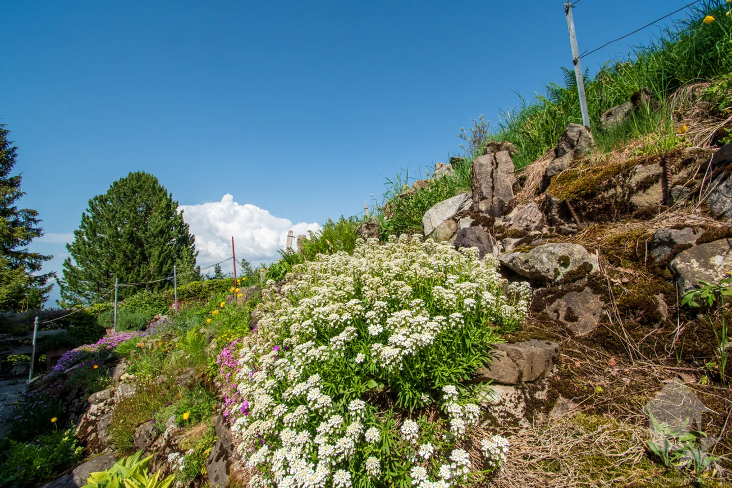 Les Cerniers, appartamento 3,5 locali con giardino d'inverno - Foto 18 di 23