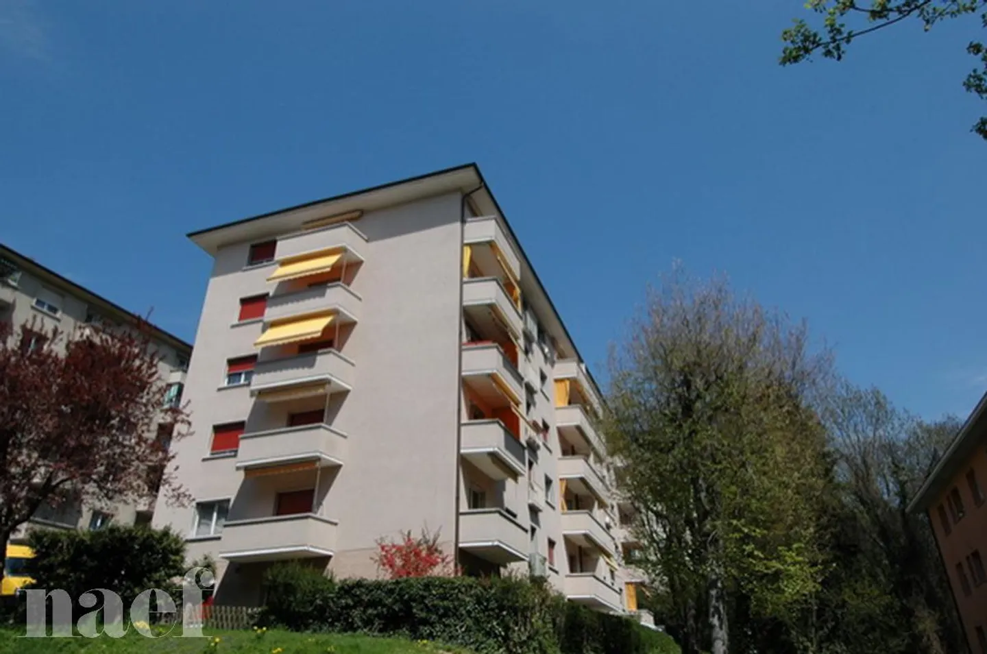 Appartamento con 3 camere al 1° piano - Foto 1 di 1