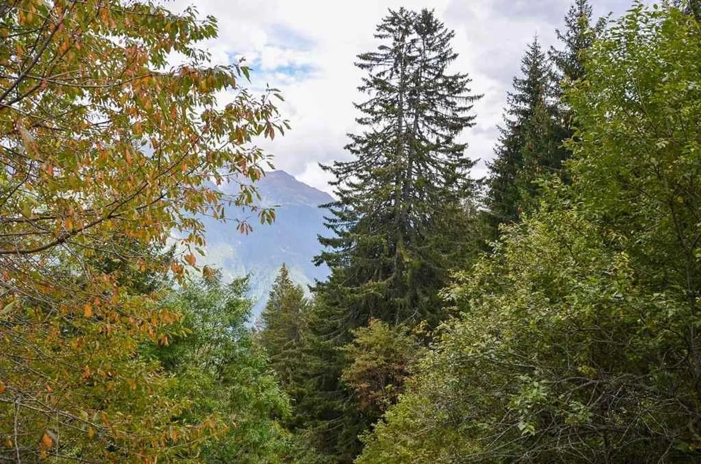 Charming Chalet in Blenio Valley - Photo 15 of 24