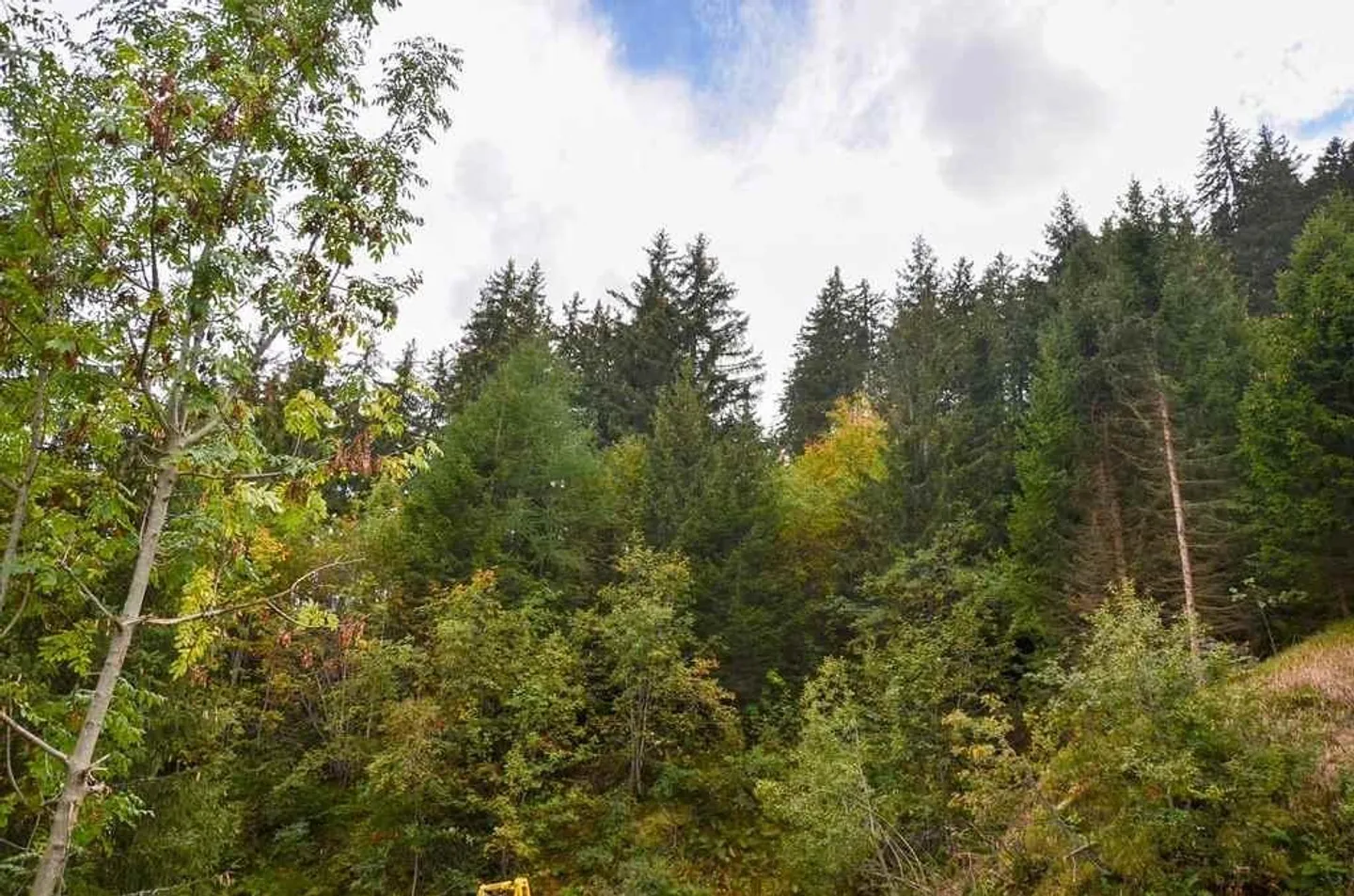 Charming Chalet in Blenio Valley - Photo 22 of 24