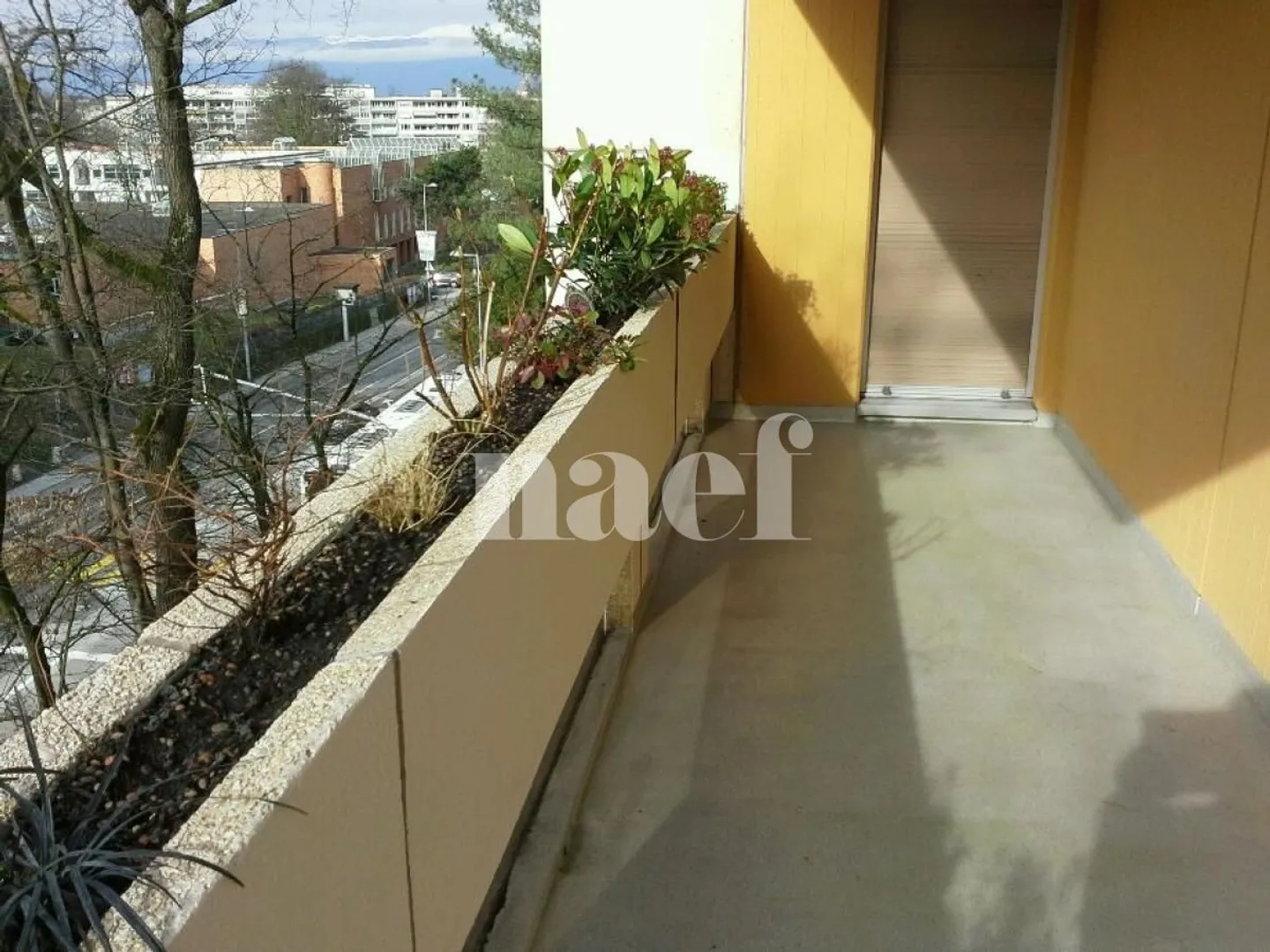 7-Zimmer-Wohnung - Foto 11 von 11