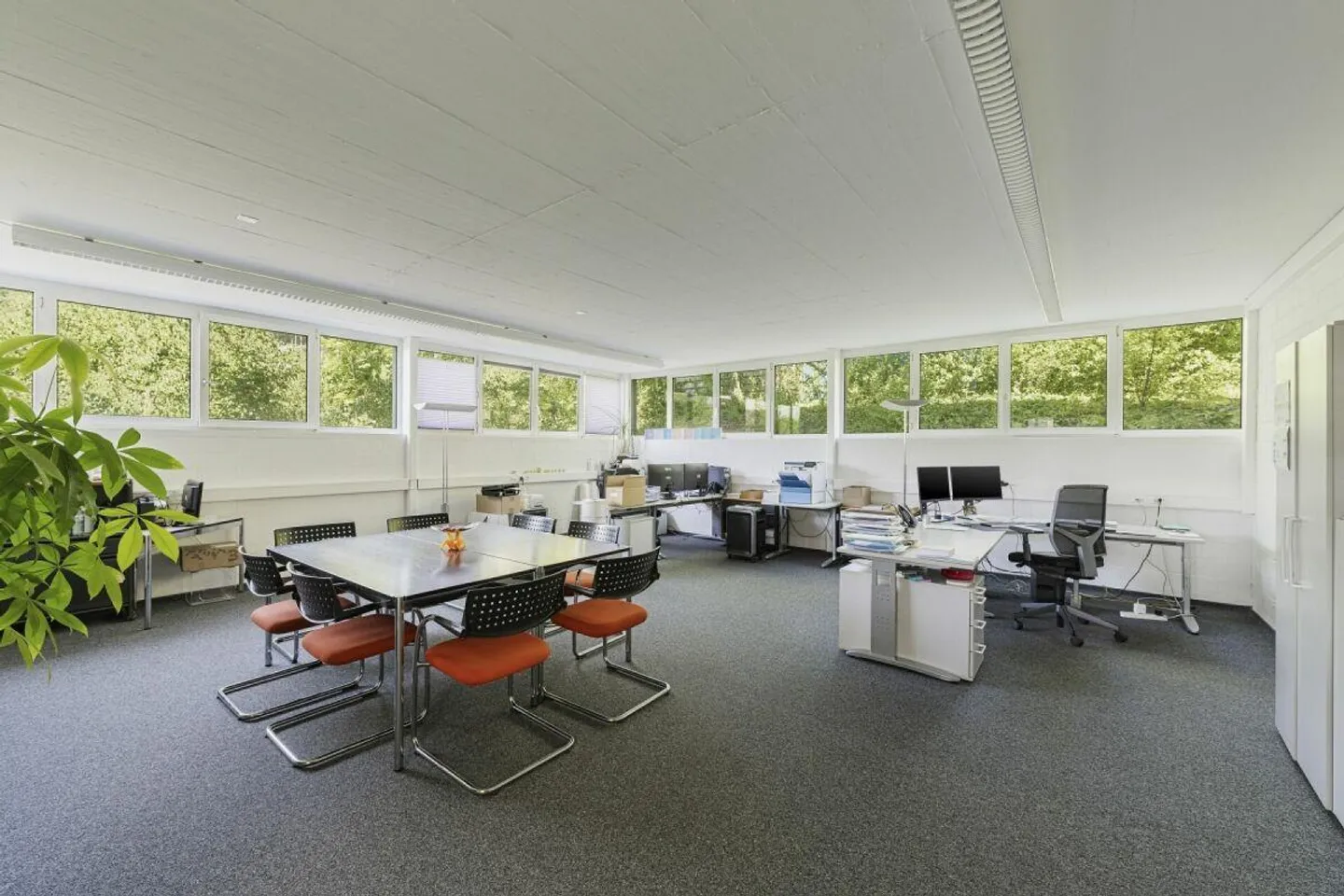 Espace commercial polyvalent et flexible avec un excellent accès à Schaffhouse - Photo 7 sur 16