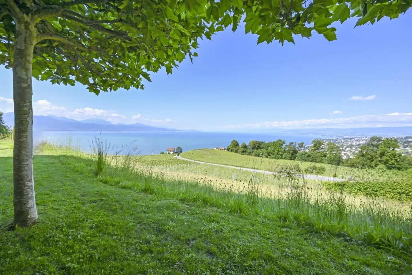LUTRY - EINZIGARTIG! PRÄCHTIGE VILLA IM HERZEN DER WEINBERGE - Foto 4 von 13