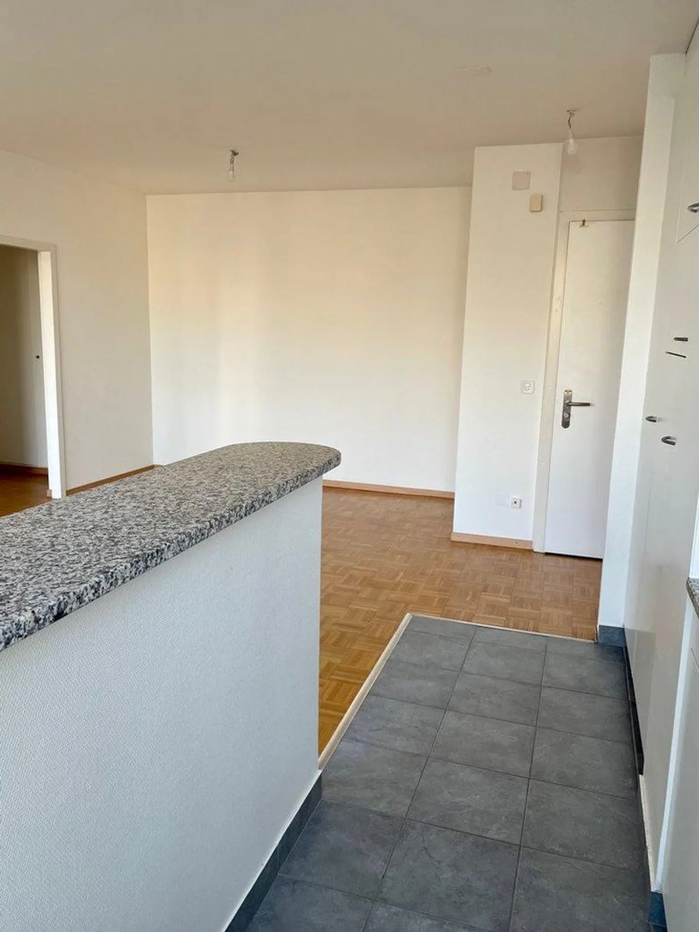 Charming Apartment in Vernier - Photo 3 of 8