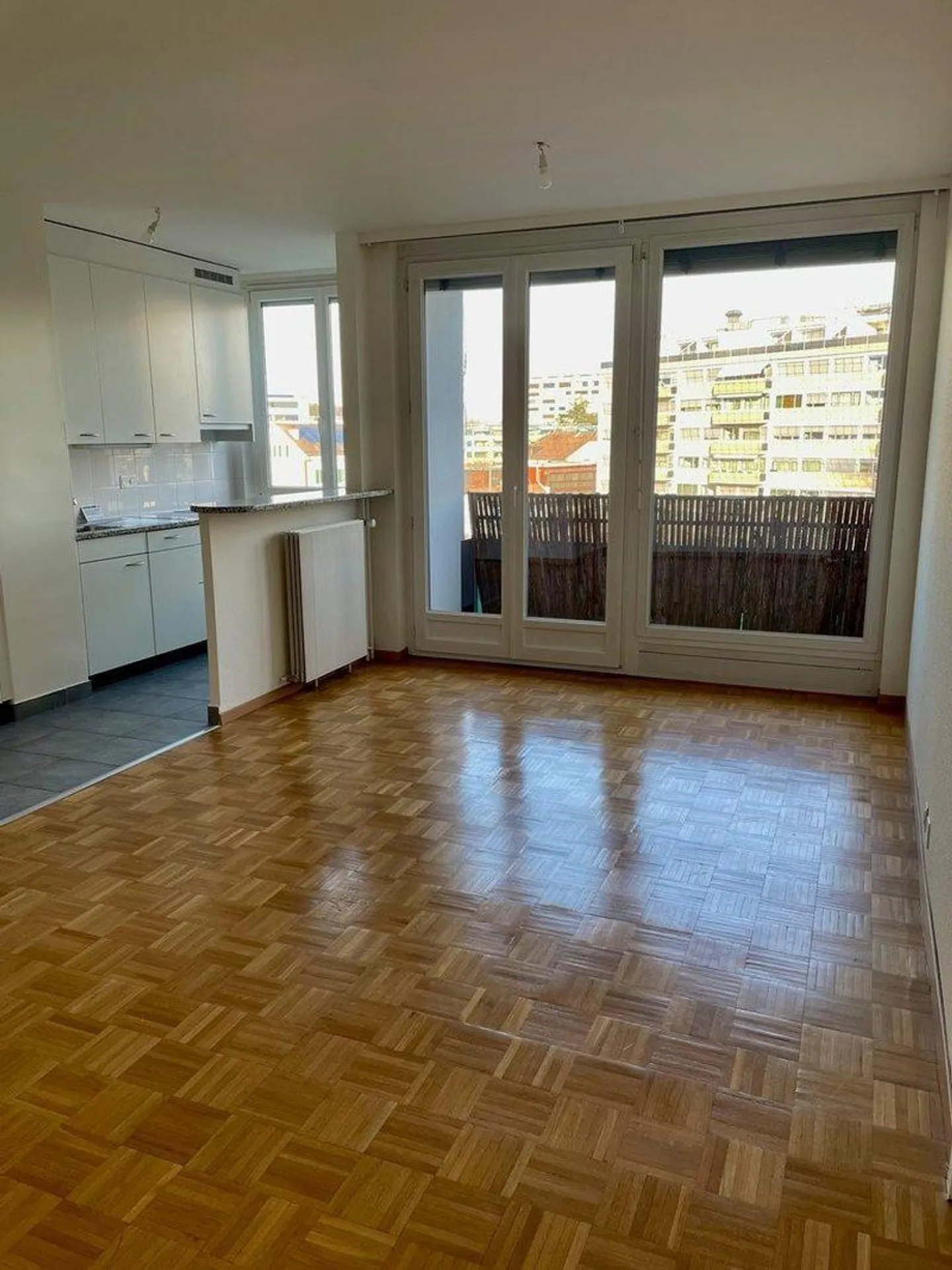 Charming Apartment in Vernier - Photo 1 of 8