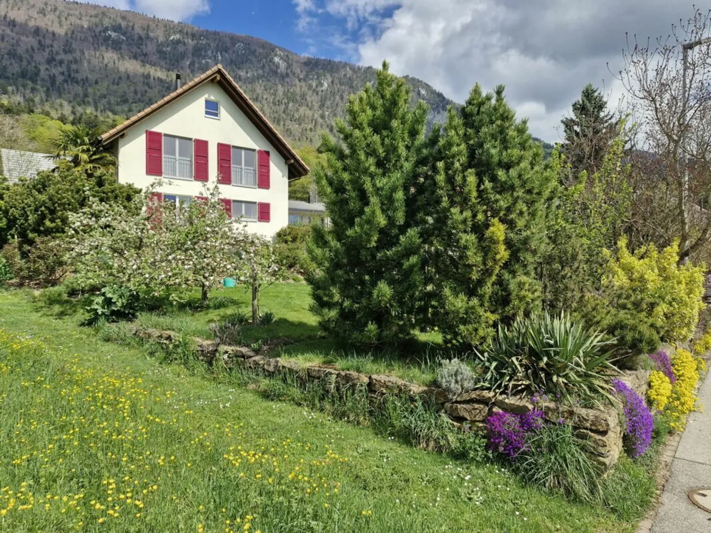 Maison individuelle avec entrée séparée pour bureau avec toilettes - Photo 1 sur 20