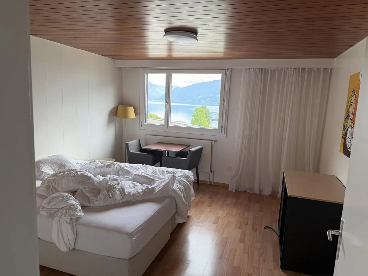 4 Room Apartment with Lake View - Photo 3 of 12