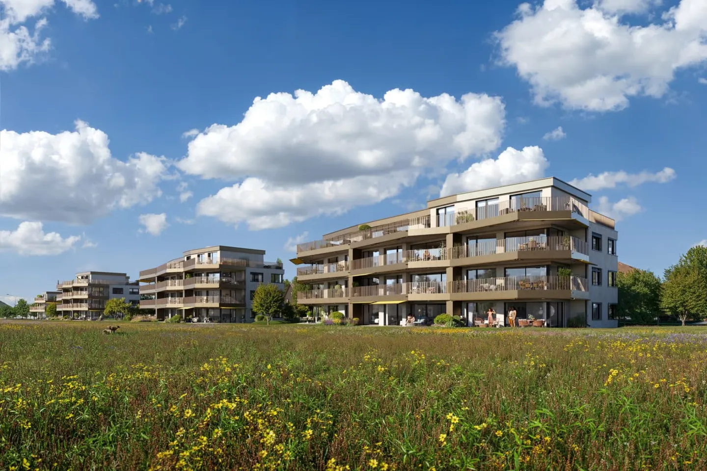 Appartement moderne de 4,5 pièces, nouvelle construction à Eglisau - calme et ensoleillé - Photo 5 sur 7