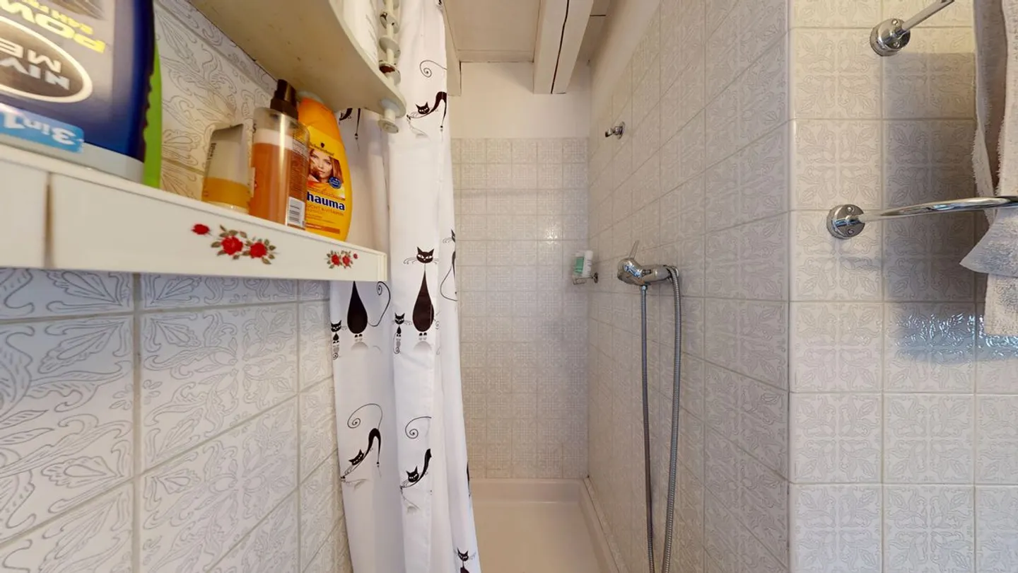 Chalet 5,5 stanze - Foto 11 di 11