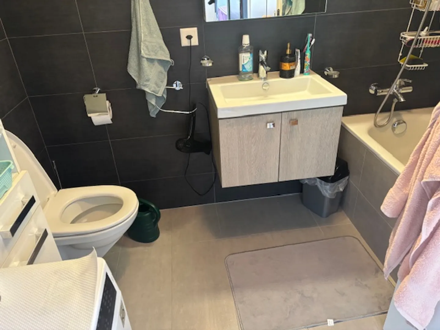 3.5 Room Apartment - Photo 4 of 10