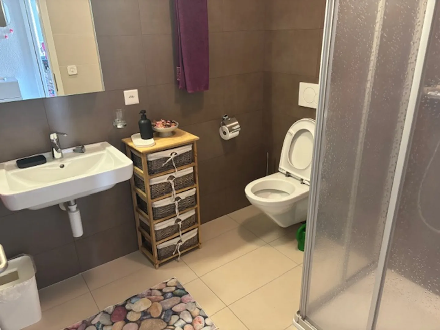 3.5 Room Apartment - Photo 6 of 10