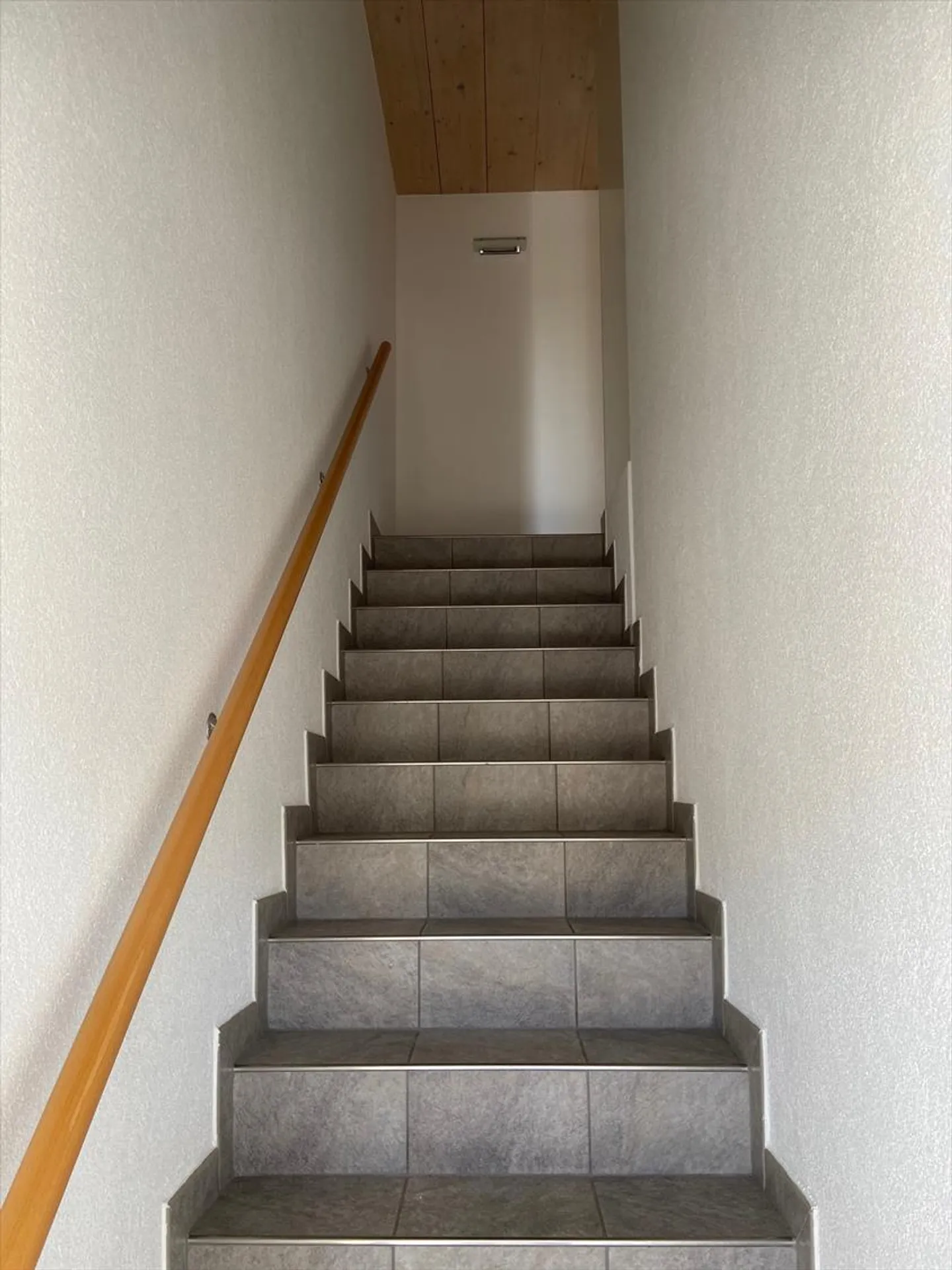 3.5 Room Apartment - Photo 16 of 17