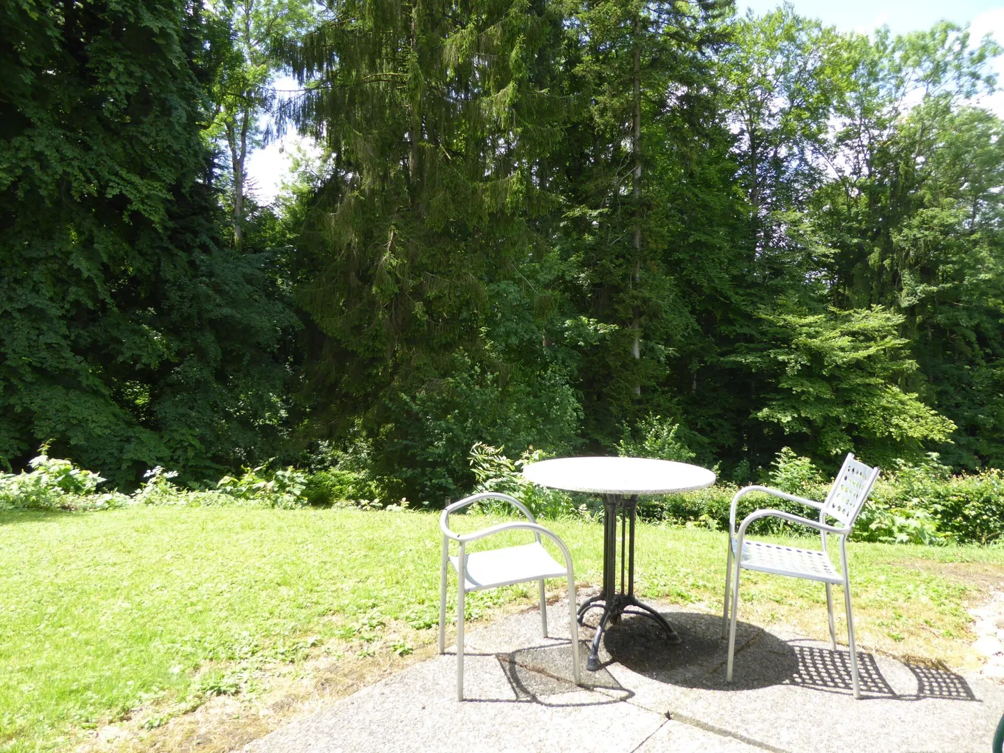 Helle Wohnung in ruhiger Lage - Foto 7 von 7