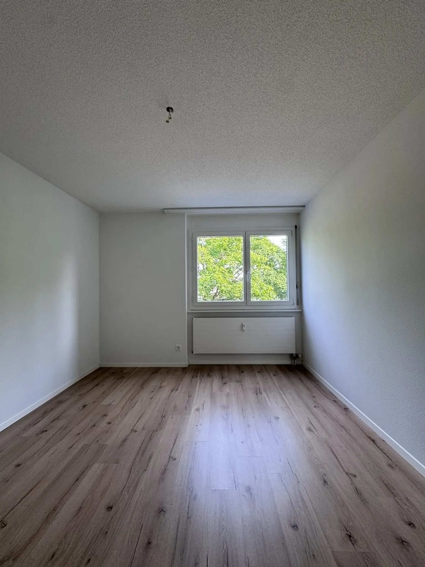Appartamento 4.5 stanze disponibile subito a Orpund in affitto! - Foto 4 di 9