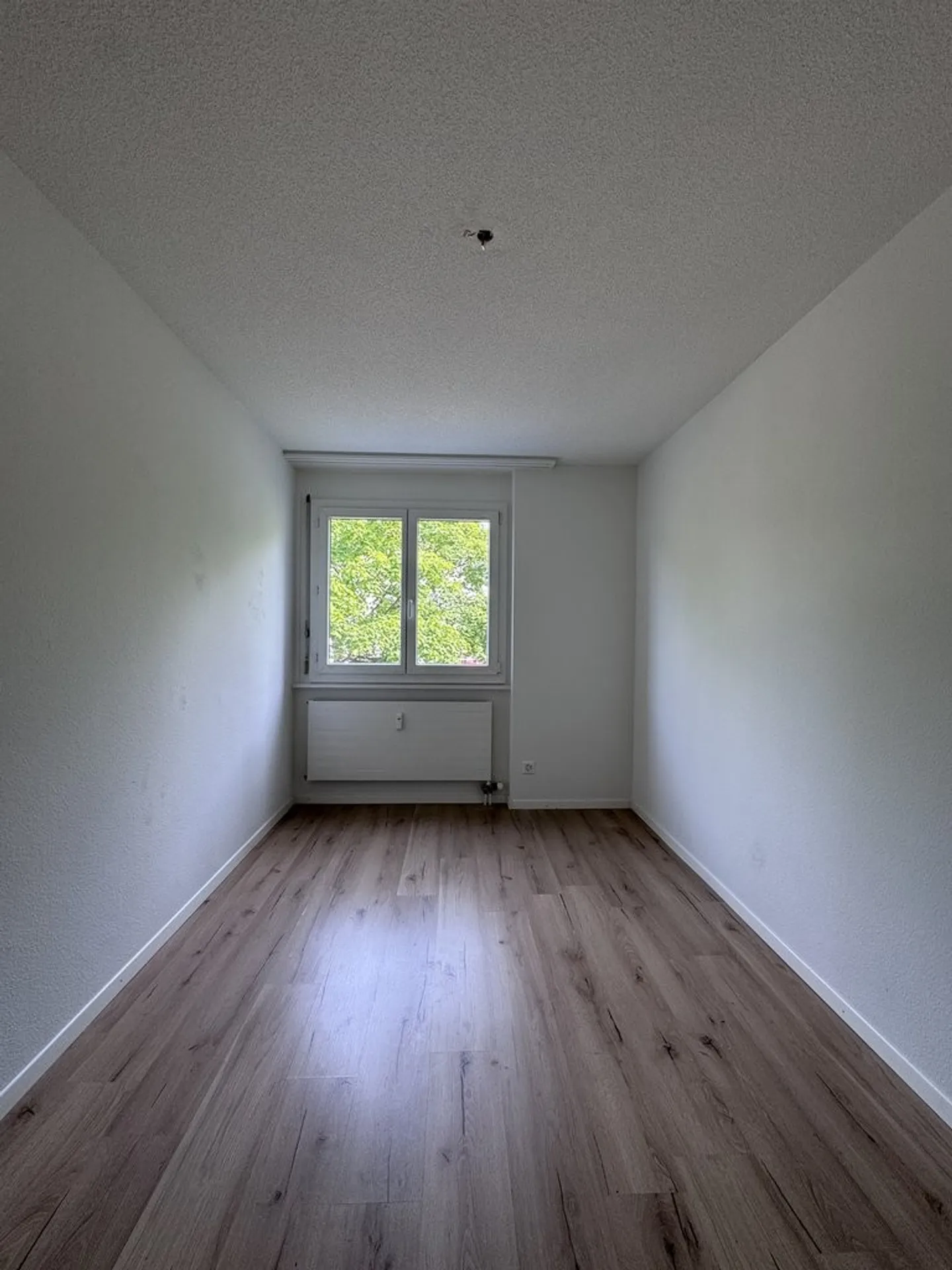 Appartamento 4.5 stanze disponibile subito a Orpund in affitto! - Foto 3 di 9