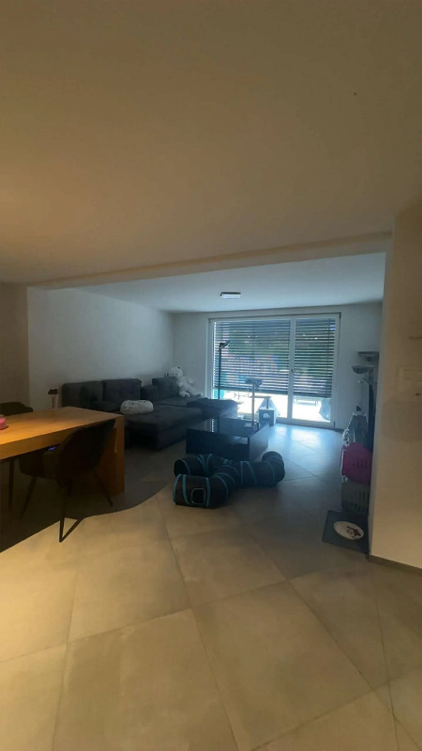 Geräumige Wohnung in Hallau - Foto 2 von 8