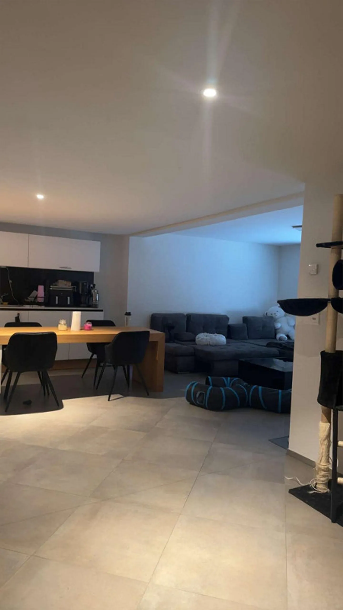 Geräumige Wohnung in Hallau - Foto 3 von 8