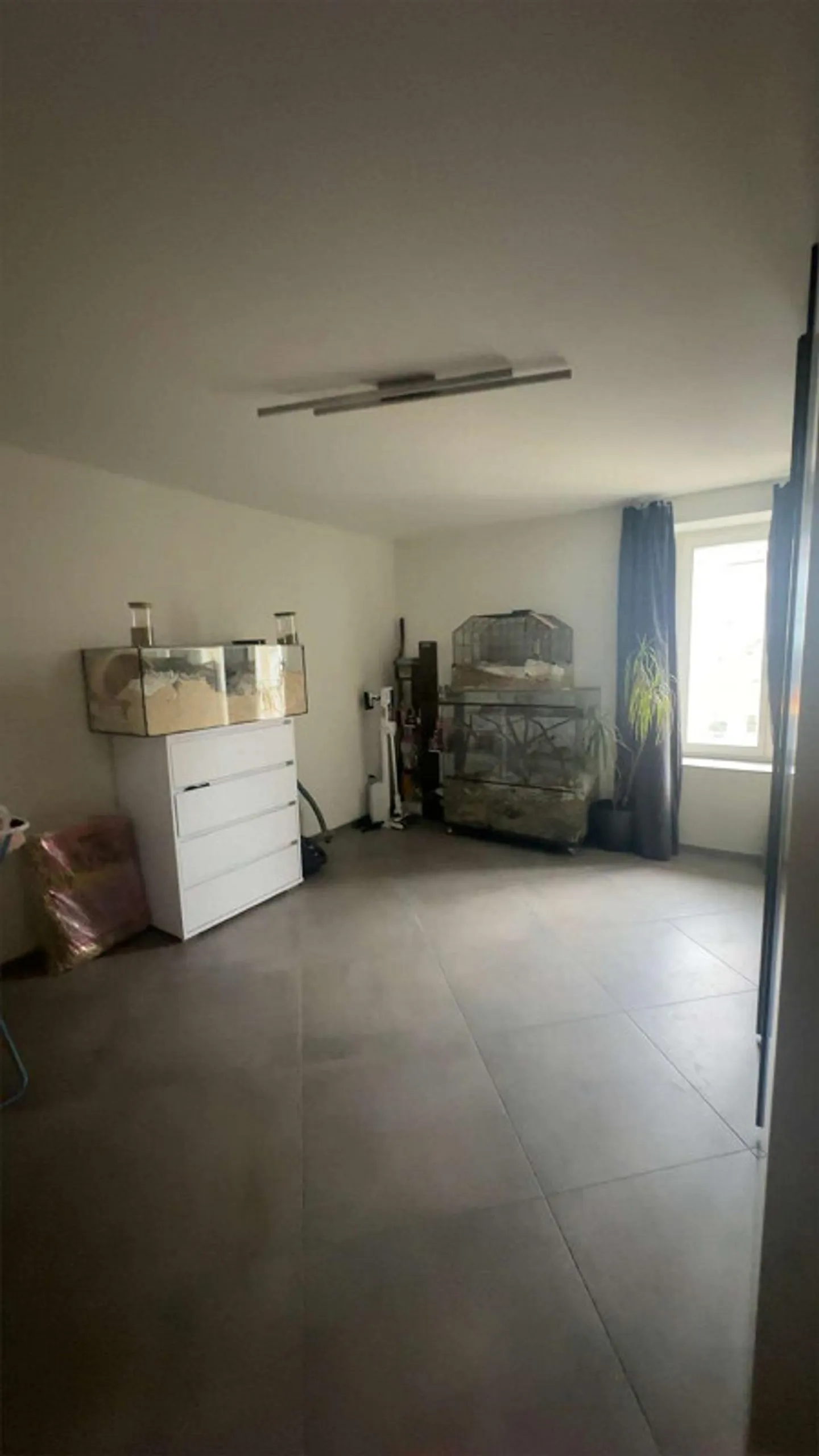 Geräumige Wohnung in Hallau - Foto 5 von 8