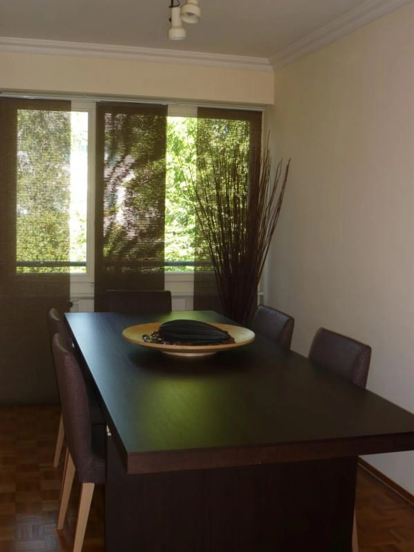 COLLONGE-BELLERIVE — APPARTAMENTO CON CARATTERE 4 STANZE — CAMINO — PARCHEGGIO - Foto 4 di 13