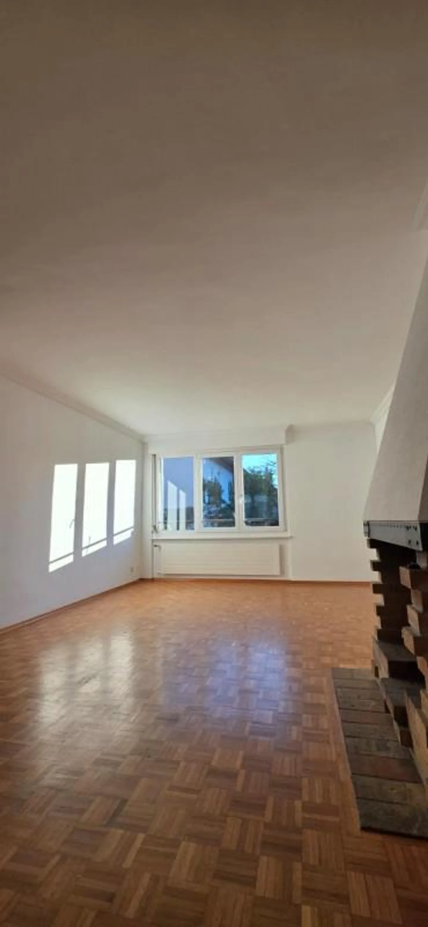 COLLONGE-BELLERIVE — APPARTAMENTO CON CARATTERE 4 STANZE — CAMINO — PARCHEGGIO - Foto 7 di 13