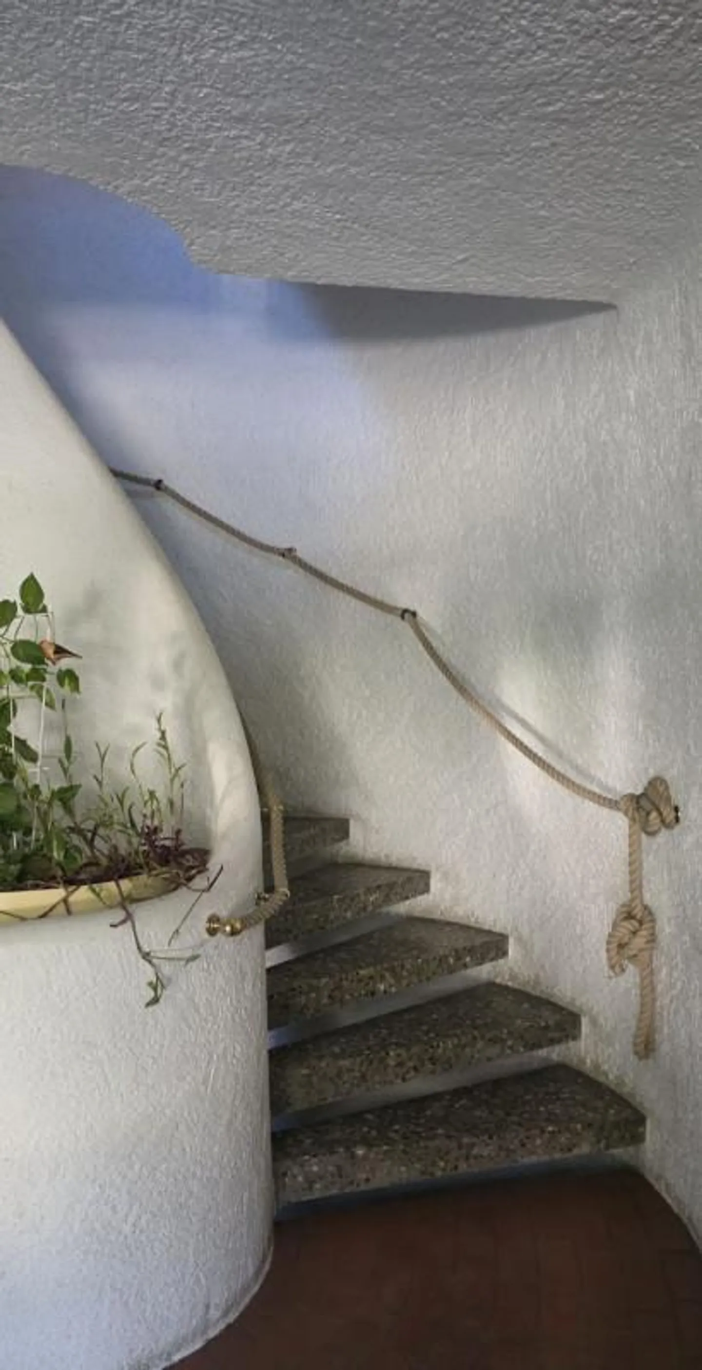 COLLONGE-BELLERIVE — APPARTAMENTO CON CARATTERE 4 STANZE — CAMINO — PARCHEGGIO - Foto 12 di 13