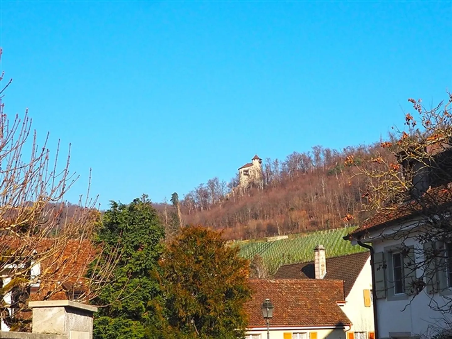 ARLESHEIM - FIRST CLASS VILLA - Photo 4 of 4