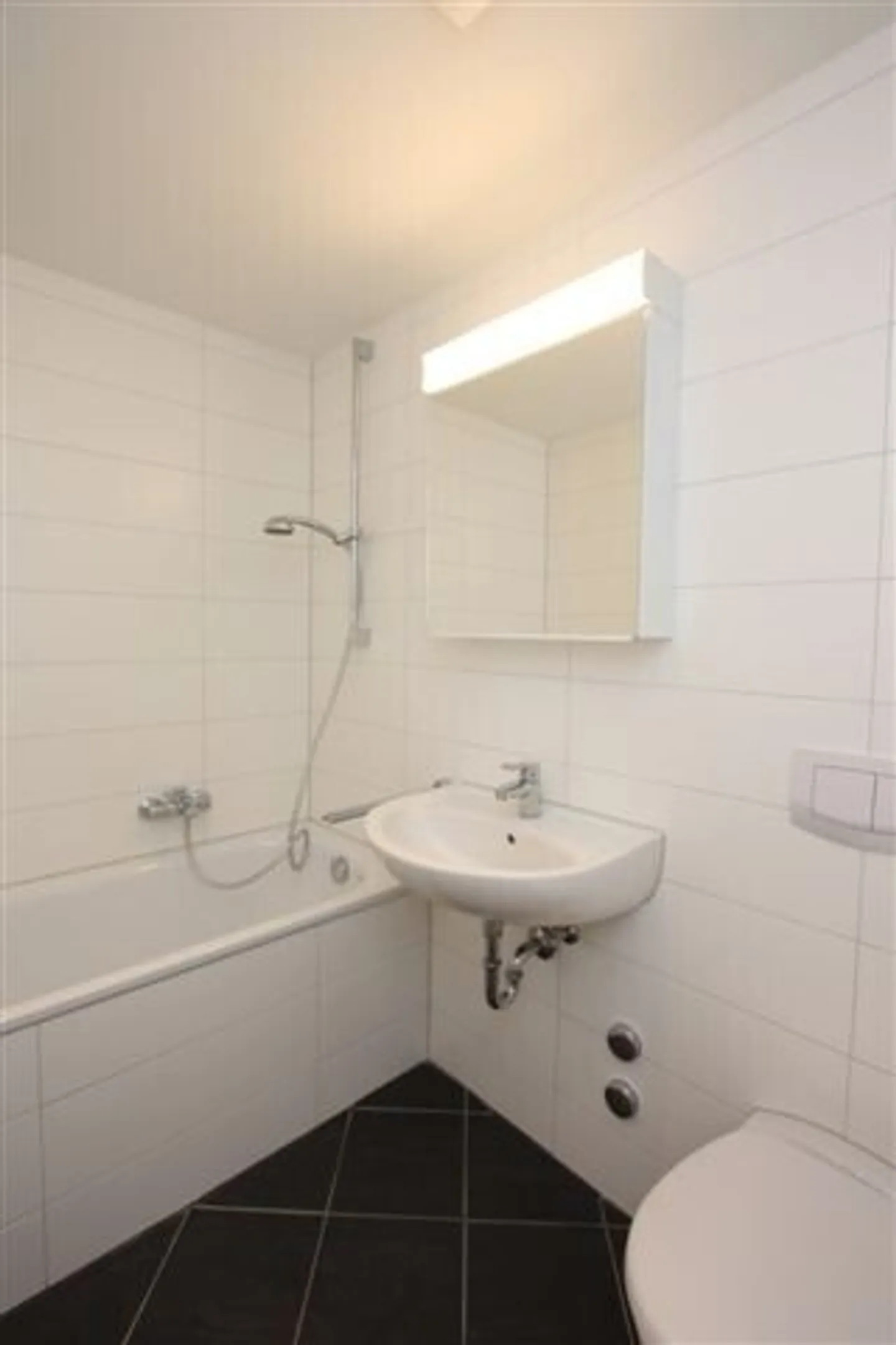 In the Heart of Pratteln EXCLUSIVE & BRIGHT LIVING - Photo 4 of 4