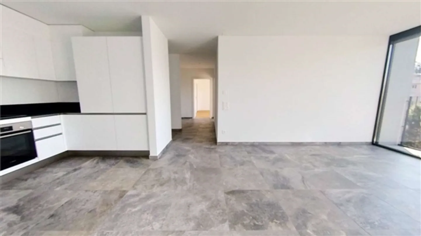 NEW, BRIGHT APARTMENT 3.5 IN MASSAGNO - Photo 2 of 20