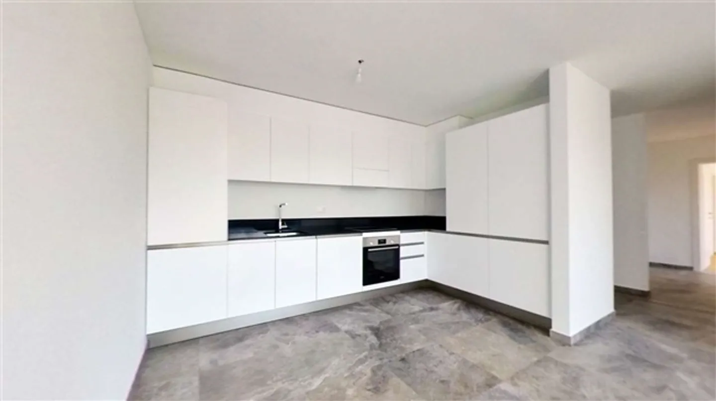 NEW, BRIGHT APARTMENT 3.5 IN MASSAGNO - Photo 5 of 20