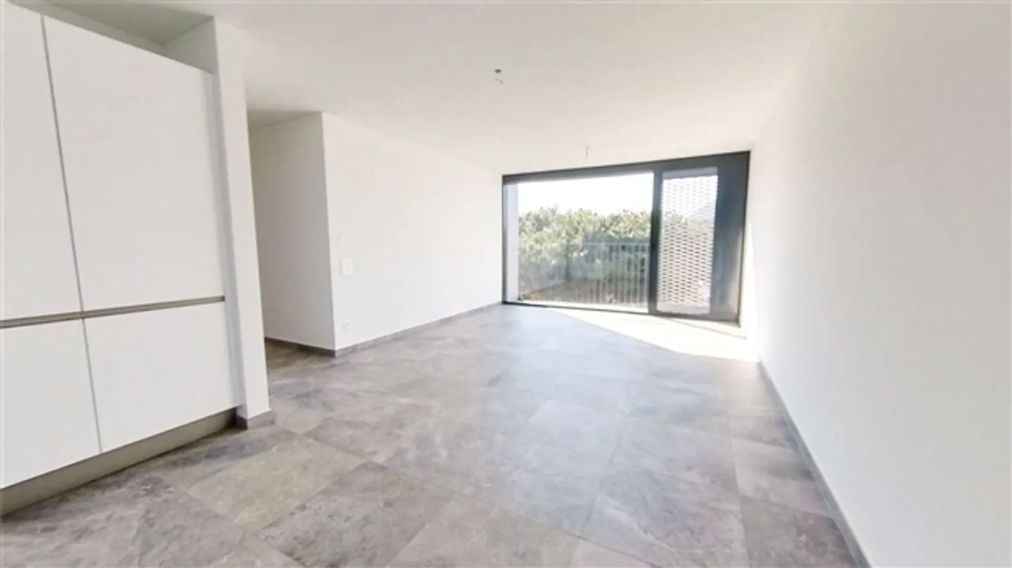 NEW, BRIGHT APARTMENT 3.5 IN MASSAGNO - Photo 4 of 20