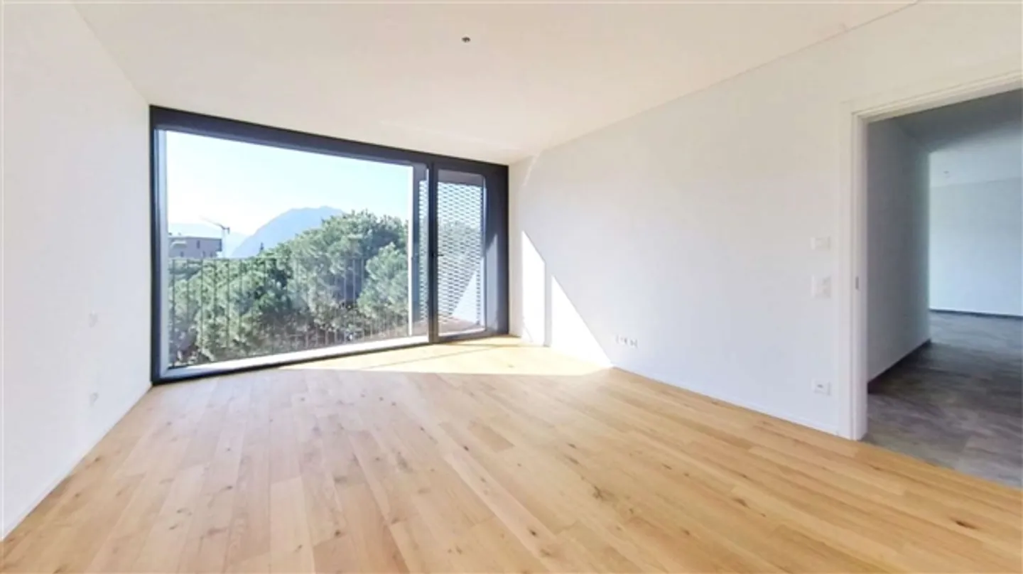 NEW, BRIGHT APARTMENT 3.5 IN MASSAGNO - Photo 6 of 20