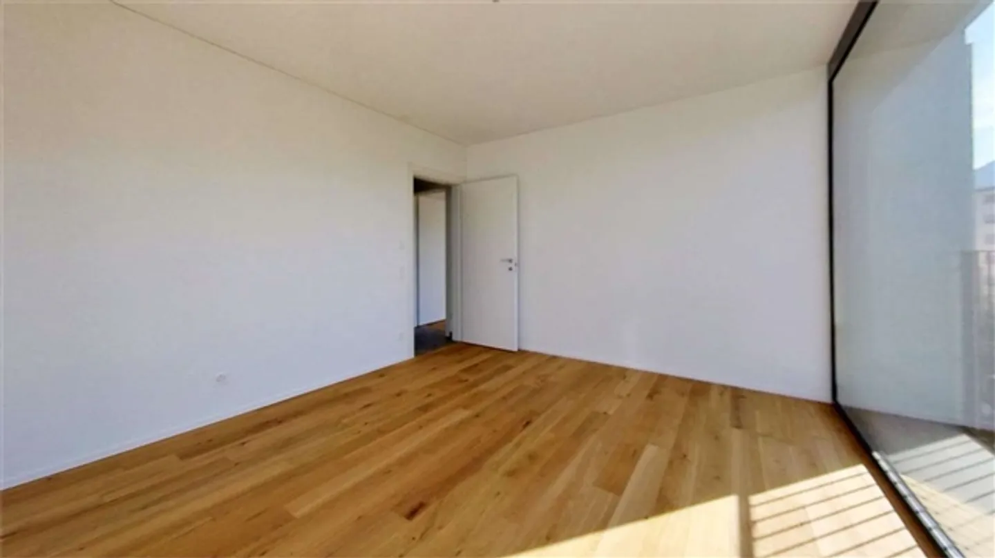 NEW, BRIGHT APARTMENT 3.5 IN MASSAGNO - Photo 8 of 20