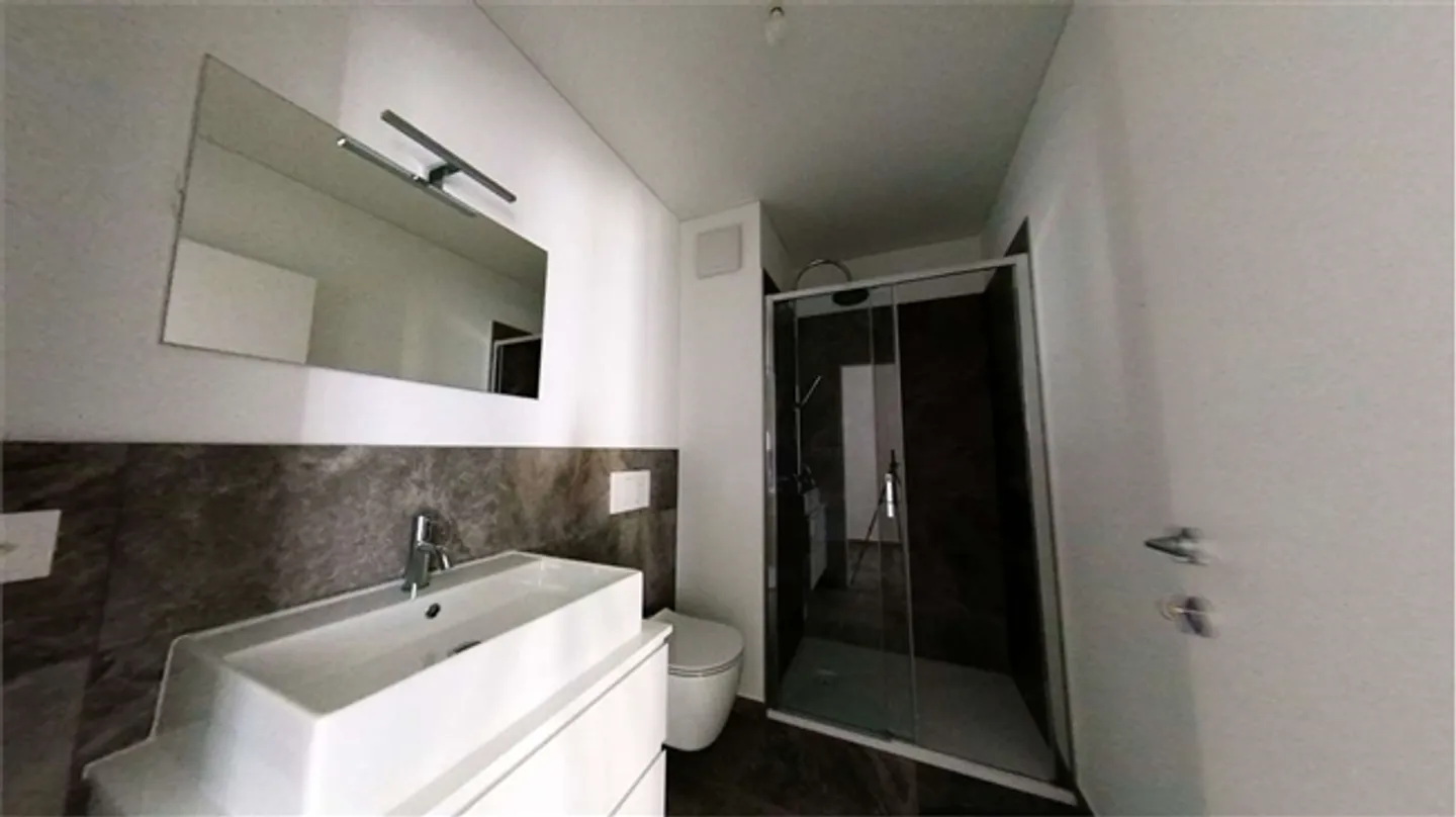 NEW, BRIGHT APARTMENT 3.5 IN MASSAGNO - Photo 20 of 20