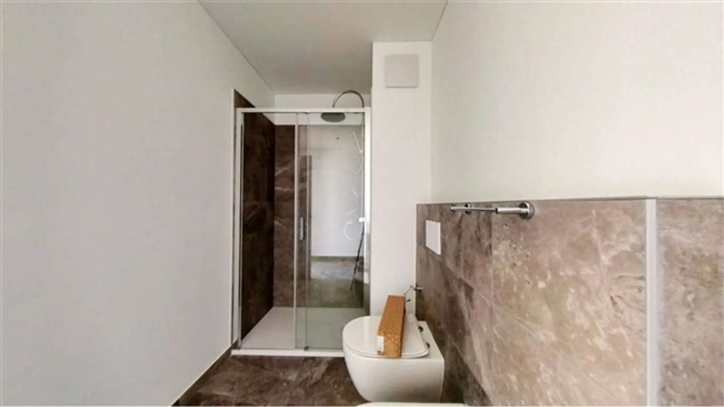 NEW, BRIGHT APARTMENT 3.5 IN MASSAGNO - Photo 19 of 20