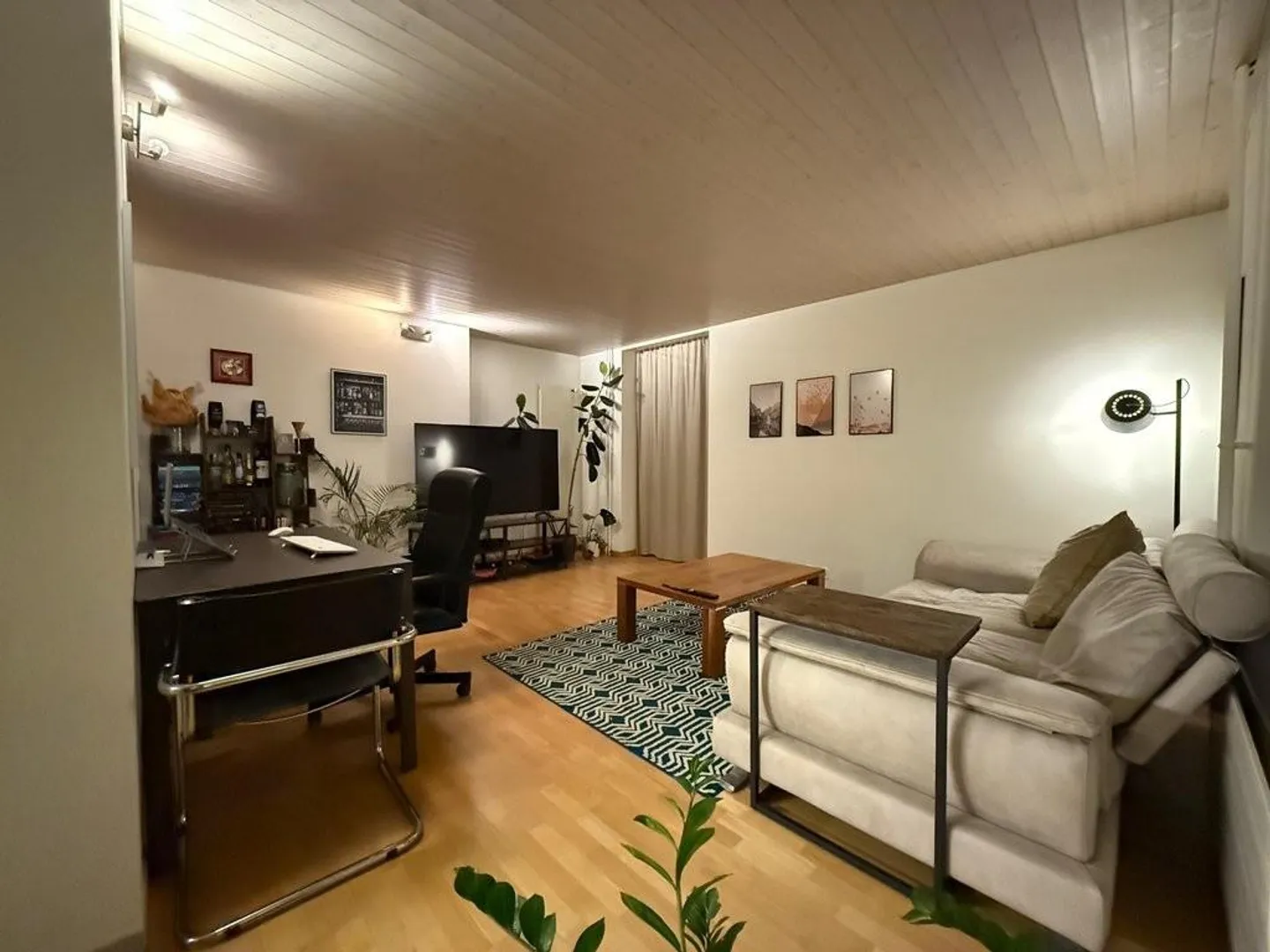 Appartement de 3 pièces près de la gare de Thalwil à louer - Photo 3 sur 8